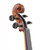Stentor Student II 4/4 violin outfit in antique chestnut with bow and case.