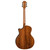 Luna Vista Eagle acoustic guitar - Back