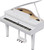Roland GP-6 premium digital baby grand piano in polished white finish with matching piano bench.