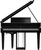 Roland GP-9 flagship luxury digital grand piano in polished ebony with opening grand lid and Piano Reality Concert technology.