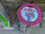 Pig Hog Instrument Cable 10ft - Pink Graffiti