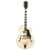Gretsch G2420TG Streamliner™ Hollow Body With Bigsby® LTD