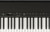 Roland FP-40 88-key digital piano with PHA-4 weighted keyboard and Piano Sphere integration.