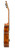 VC564 Series 560 Classical Guitar - Full Size Natural High Gloss Valencia