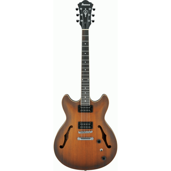 AS53 TF Semi Hollow Body Electric Guitar