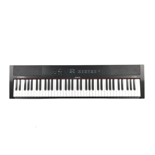 Pro A-73 Portable Digital Piano - Black