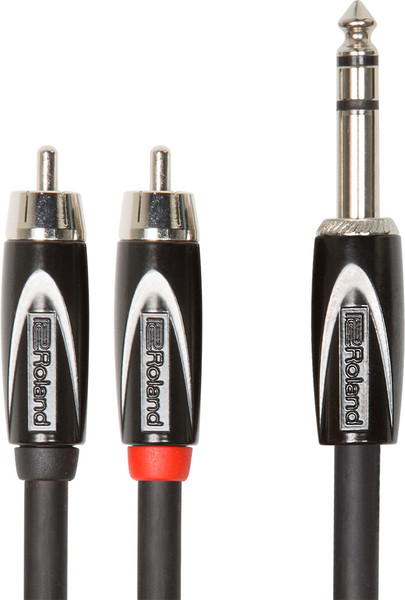 Roland RCC-10-TR2RV2 Interconnect Cable - TRS to 2RCA 10ft