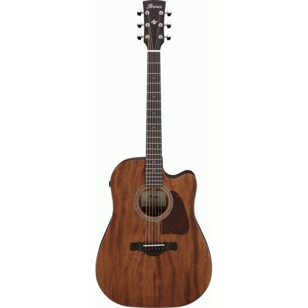 Ibanez AW1040CE Acoustic Guitar All Solid - Open Pore Natural