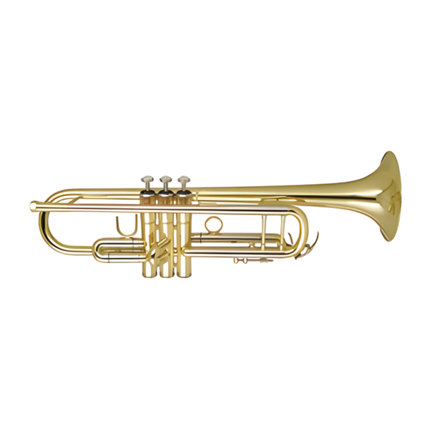 Wisemann Bb trumpet DTR-250 with lacquered brass finish.