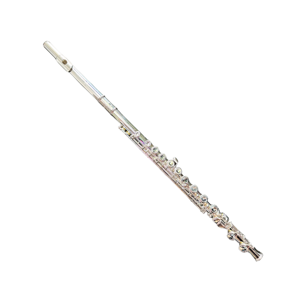 Silver-plated Di Zhao DZ-100 student flute with offset G, closed-hole keys, C-foot joint, and curved headjoint, shown with protective hard case.