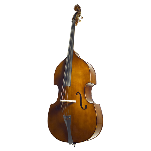 Stentor student 1/2 size double bass in chestnut brown with bow and padded gig bag.