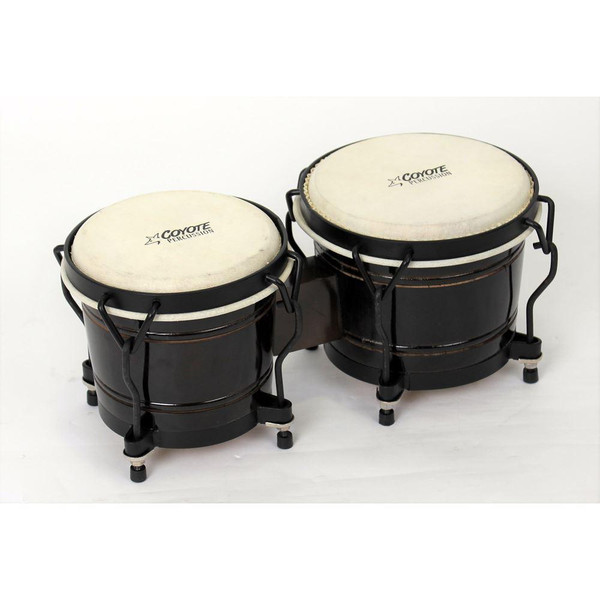 BONGOS BLACK Coyote