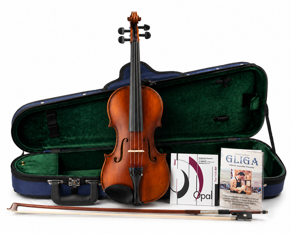 Gliga III violin with Opal Titan strings, case, bow - front view