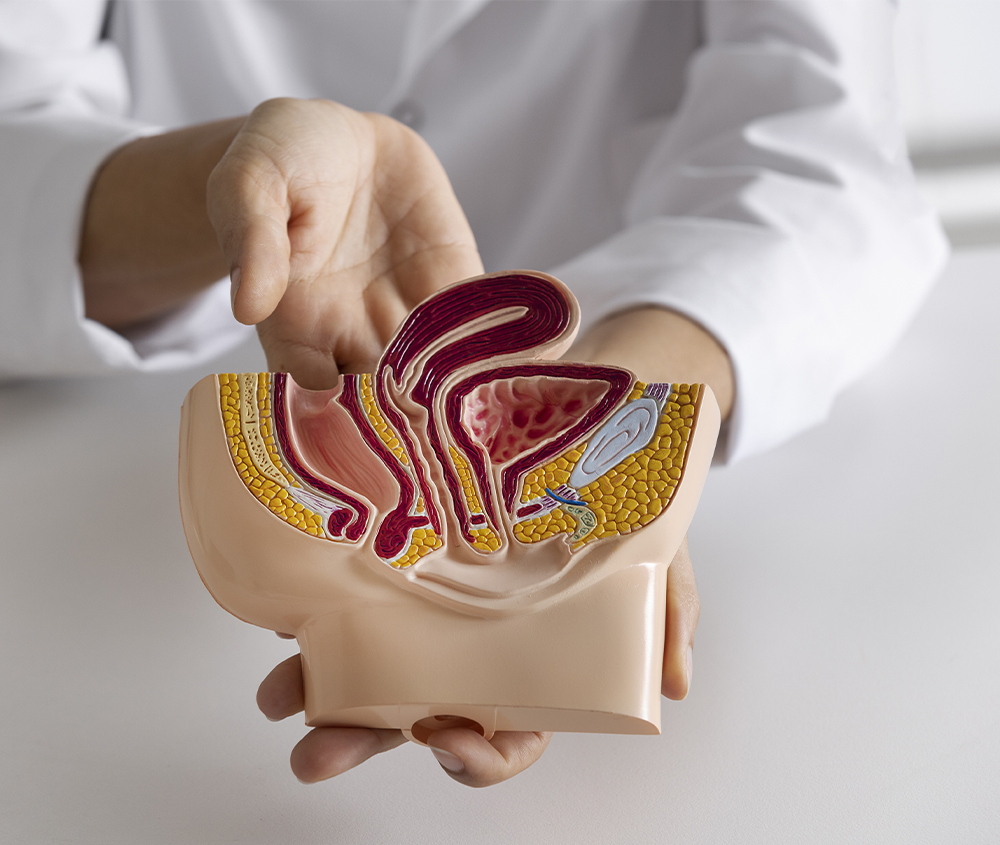 iimagen campañas sanitarias detección colon