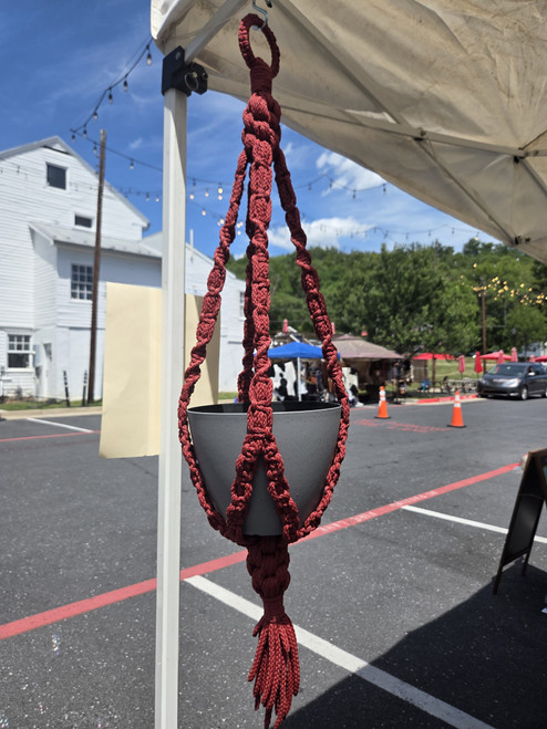 Plant Hanger - Maroon, Poly-cord