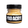 PRO Acryl Weathering Pigments 06 - Raw Sienna