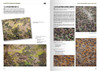AK Interactive Waffen-ss Camouflage Uniforms