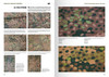 AK Interactive Waffen-ss Camouflage Uniforms