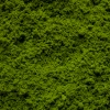 Coarse Flock - Rainforest Green