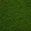 Coarse Flock - Soft Moss