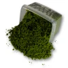 Coarse Flock - Rainforest Canopy