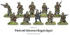 Polish 10th Motorised Brigade Squad