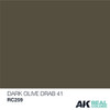 AK Real Colors - Dark Olive Drab 41 10ml