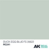 AK Real Colors - Duck Egg Blue FS 35622 10ml