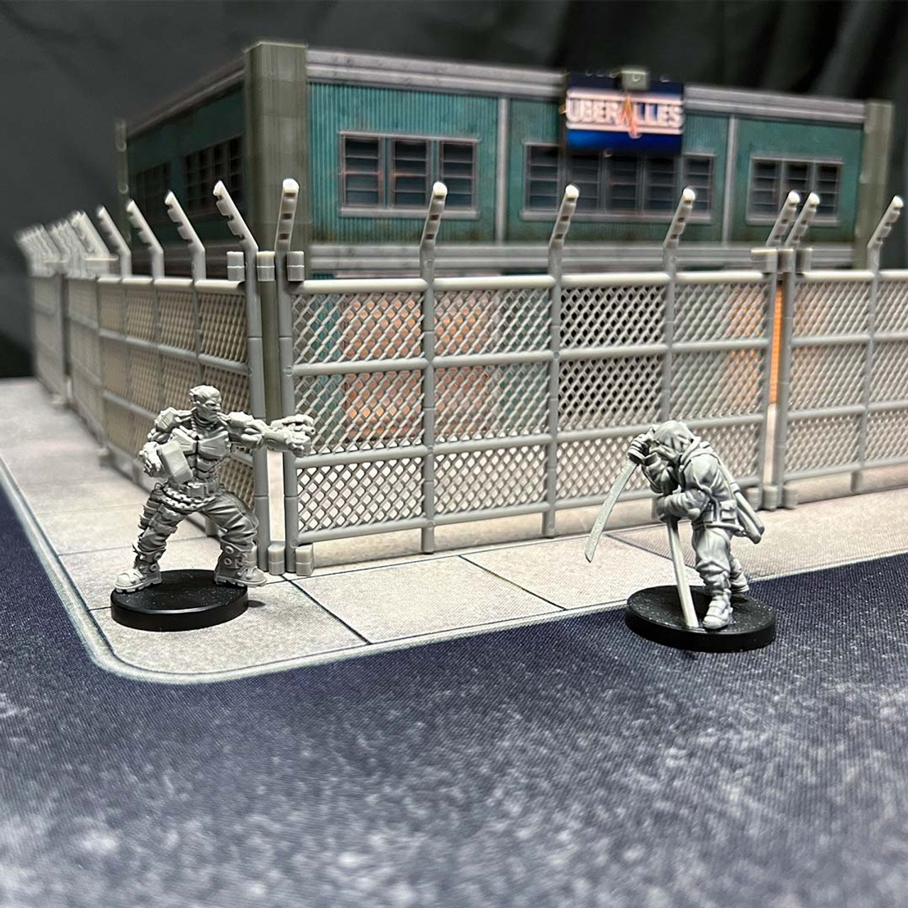 Chain Link Fences (10)