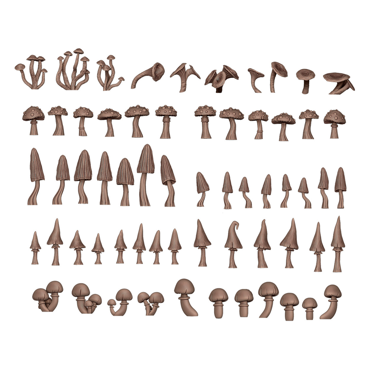 FOREST MUSHROOMS – AK BASING BITS FOREST MUSHROOMS – AK BASING BITS