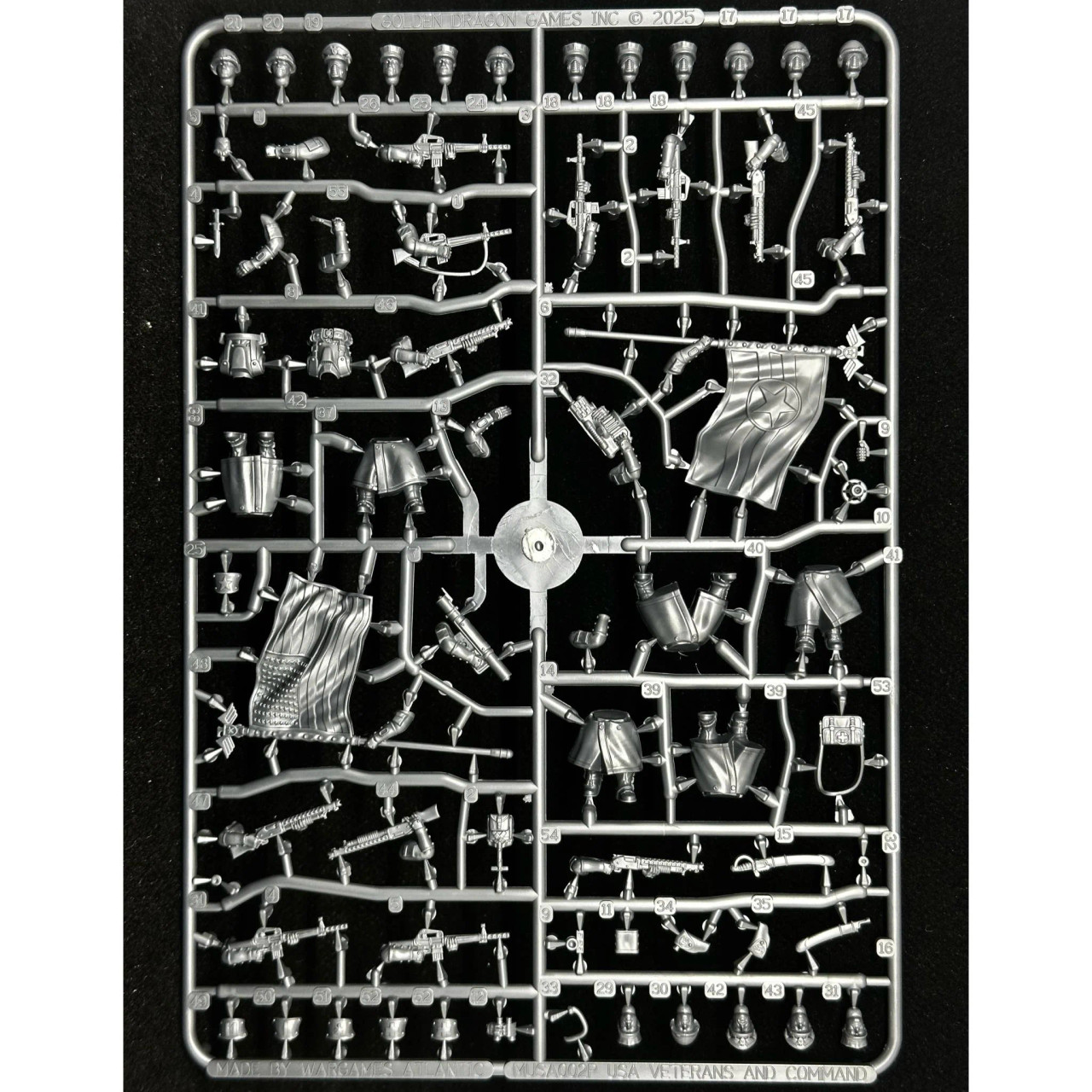 Marcher: USA Veterans and Command