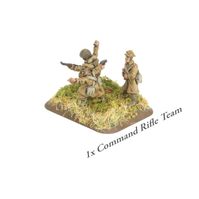 Polish Army Deal - Limited Edition