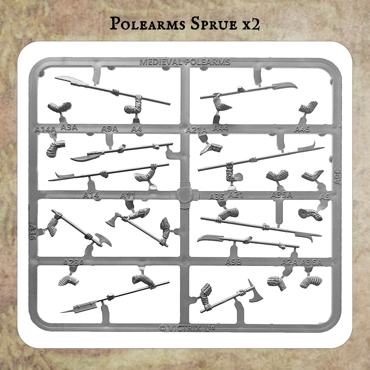 Medieval Warband