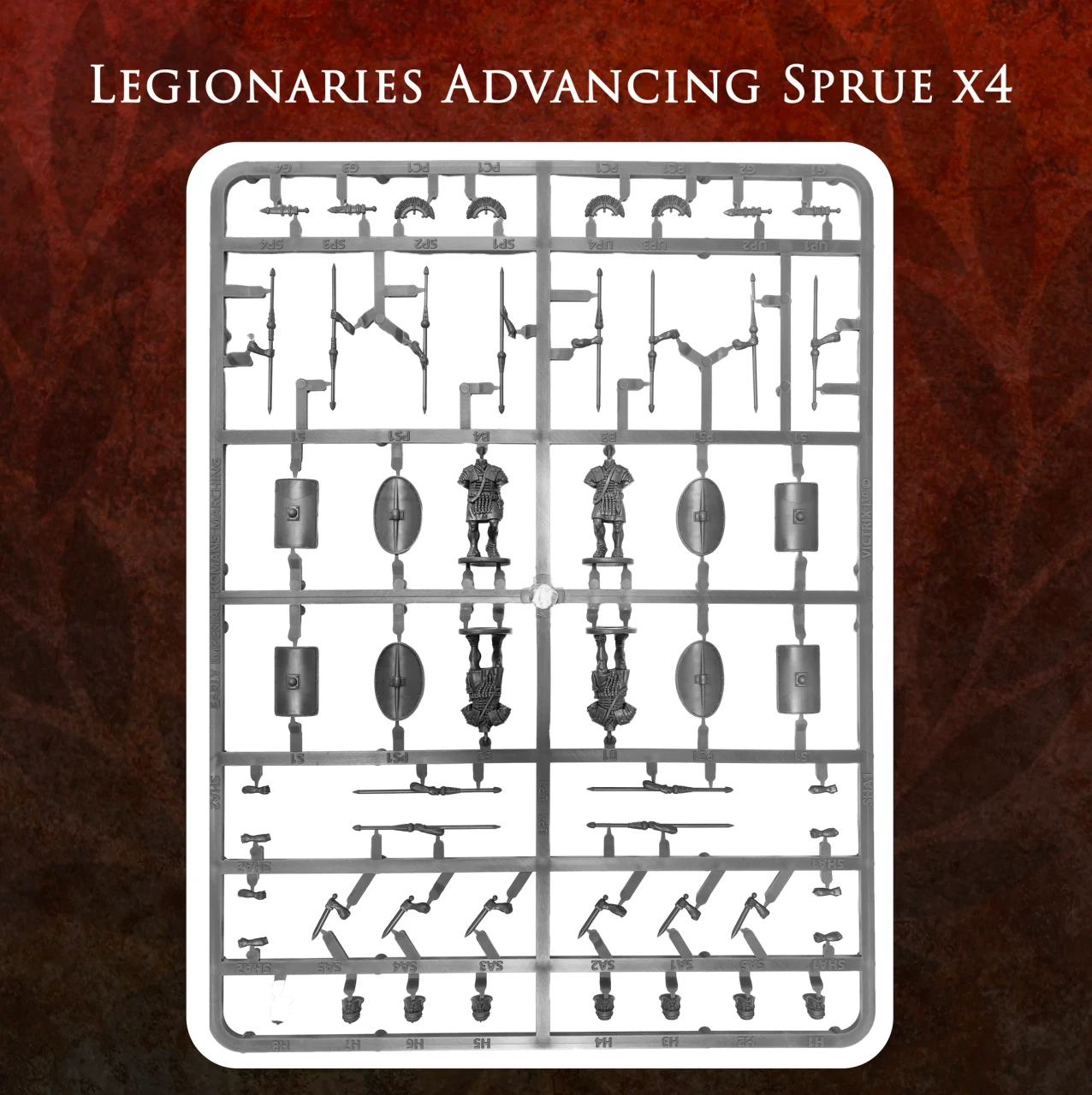 Imperial Rome Warband
