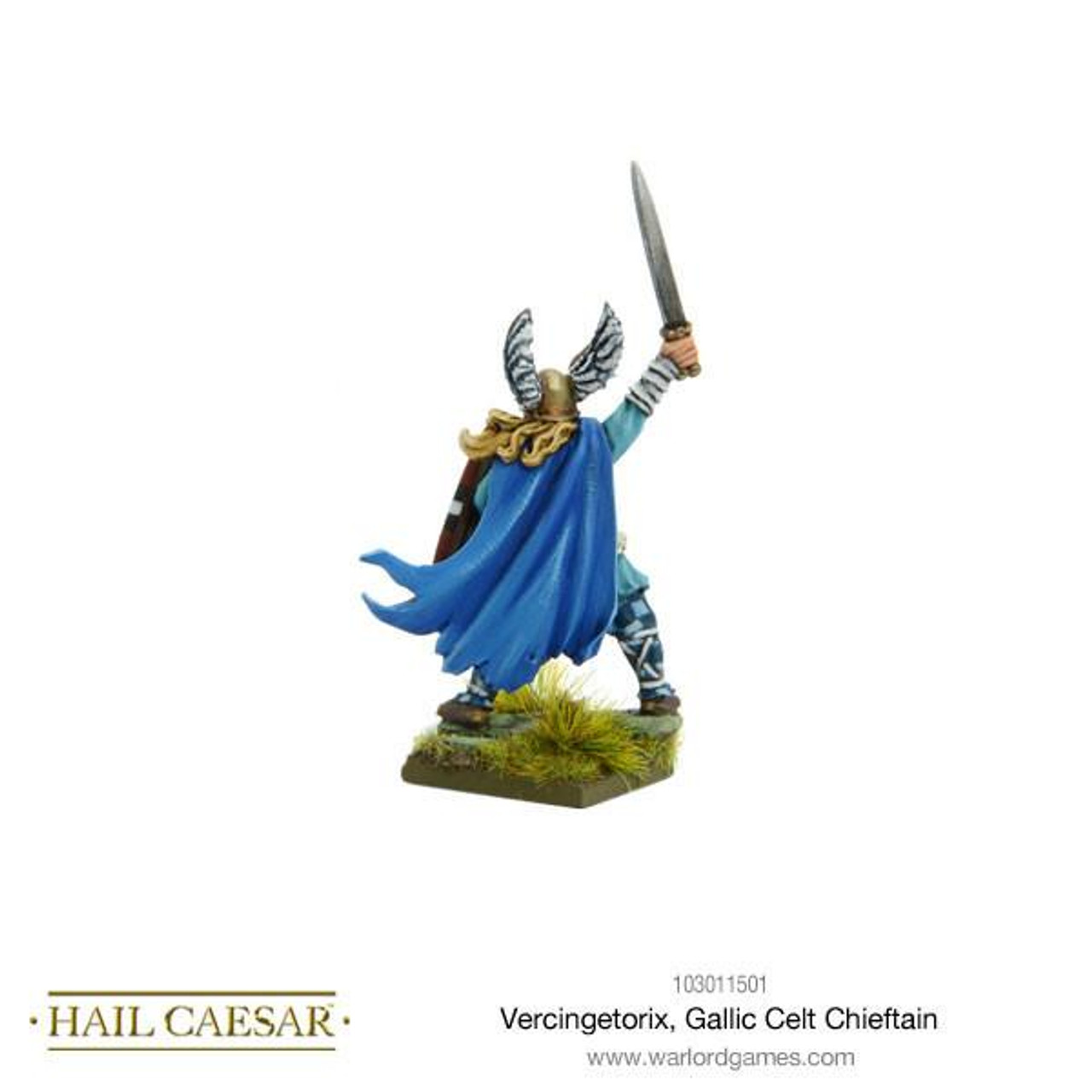 Vercingetorix, Gallic Celt Chieftain - 103011501