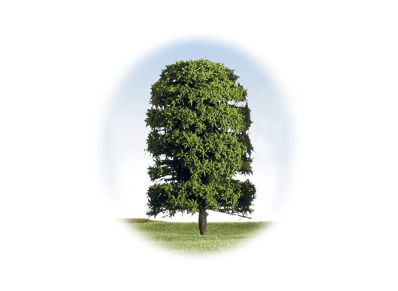 125mm Green Deciduous Single Tree - DG125