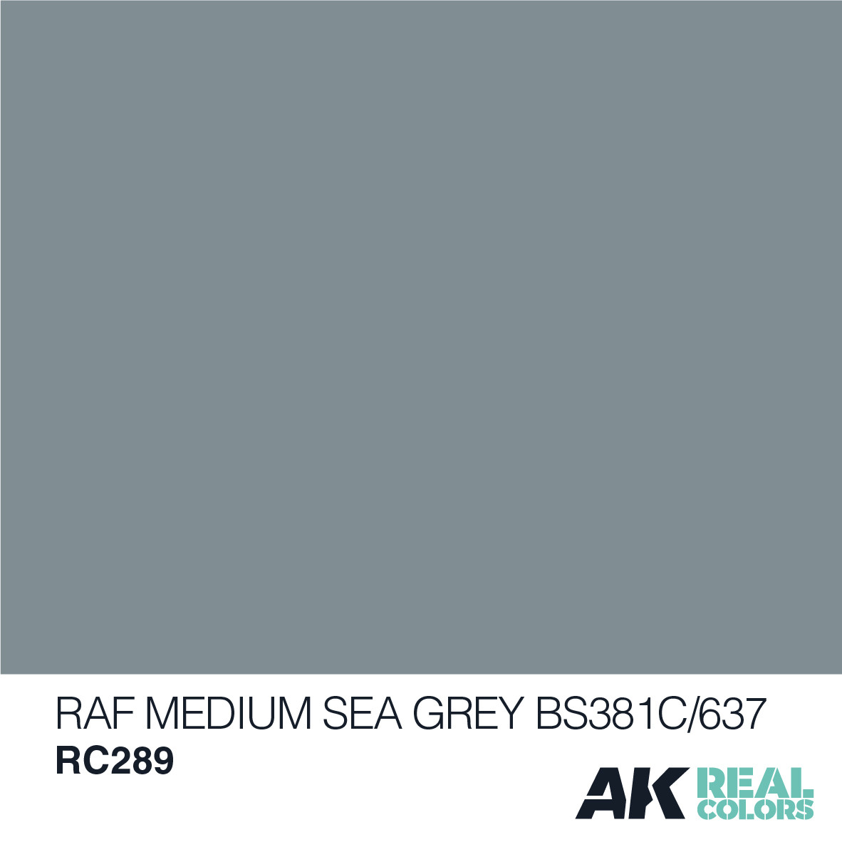 AK Real Colors - RAF Medium Sea Grey BS381C/637  10ml