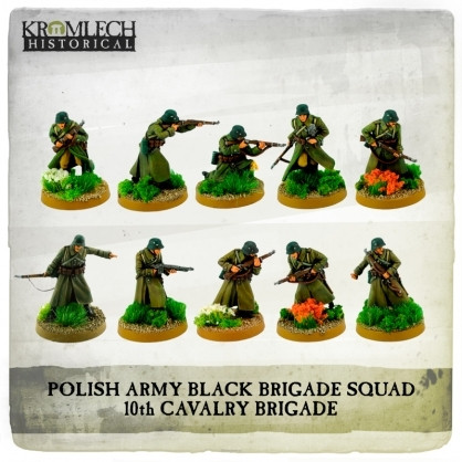 Oddzia? Czarnej Brygady Wojska Polskiego