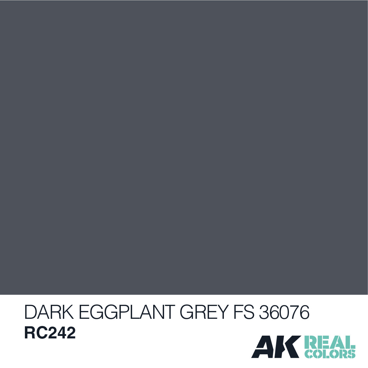 AK Real Colors - Dark Eggplant Grey FS 36076 10ml