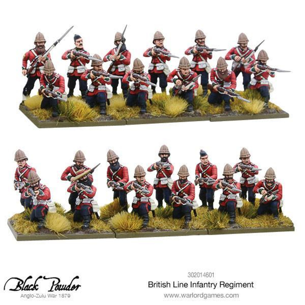 Zulu War British Line Infantry Regiment