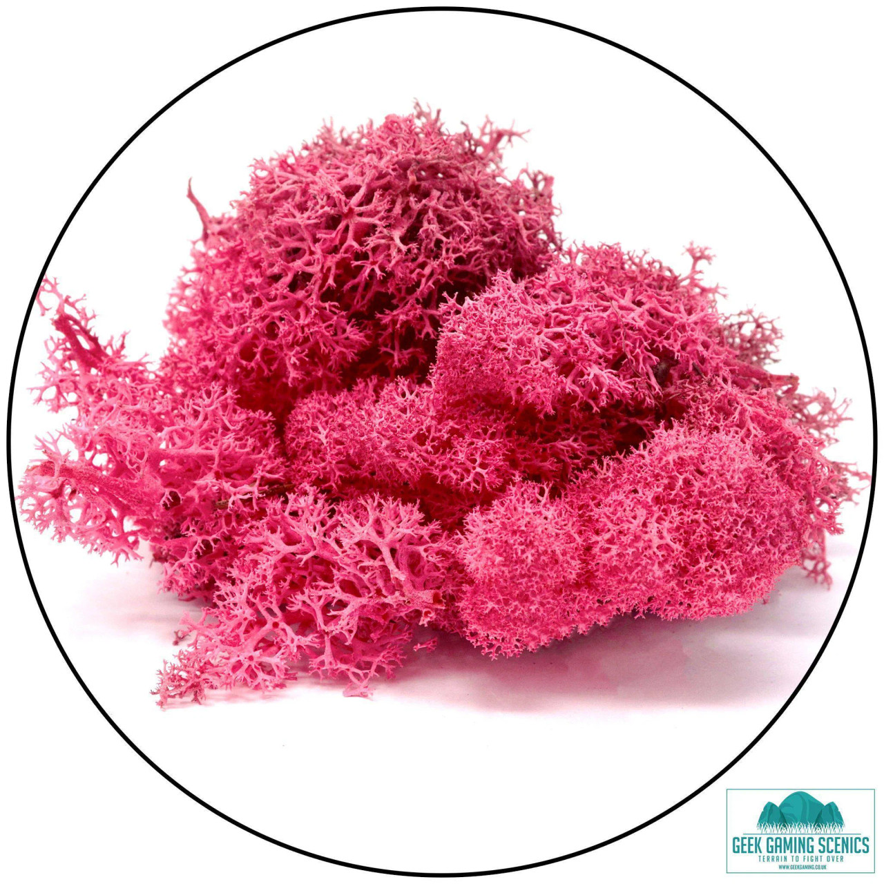 Lichen - Reindeer Moss (Icelandic Moss) Fuschia