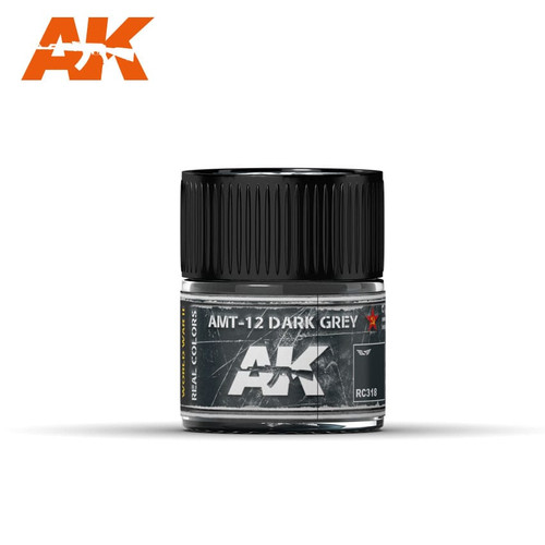 AK Real Colors - AMT-12 Dark Grey 10ml