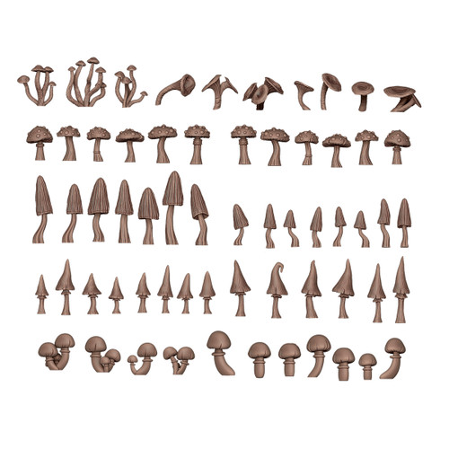 FOREST MUSHROOMS – AK BASING BITS FOREST MUSHROOMS – AK BASING BITS