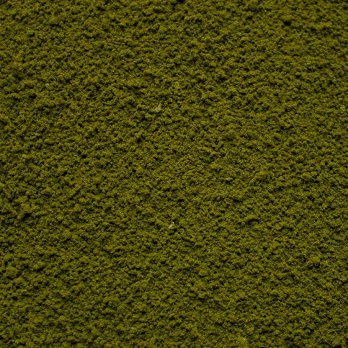 Coarse Flock - Forest Lake