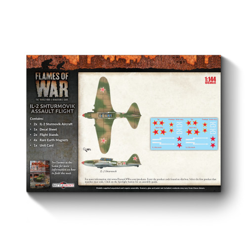 Soviet IL-2 Shturmovik Assault Flight