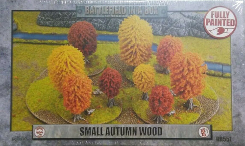 Small Autumn Wood - BB551