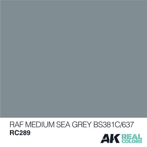 AK Real Colors - RAF Medium Sea Grey BS381C/637  10ml