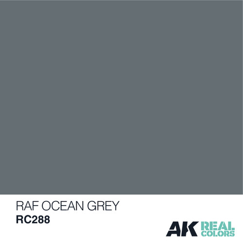 AK Real Colors - RAF Ocean Grey  10ml