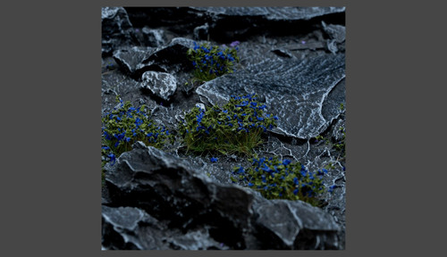 Blue Flowers - Shape: Wild