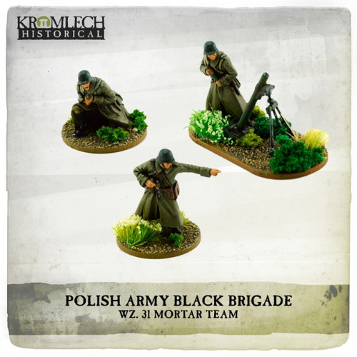 Czarna Brygada Wojska Polskiego wz. 31 mo?dzierzy